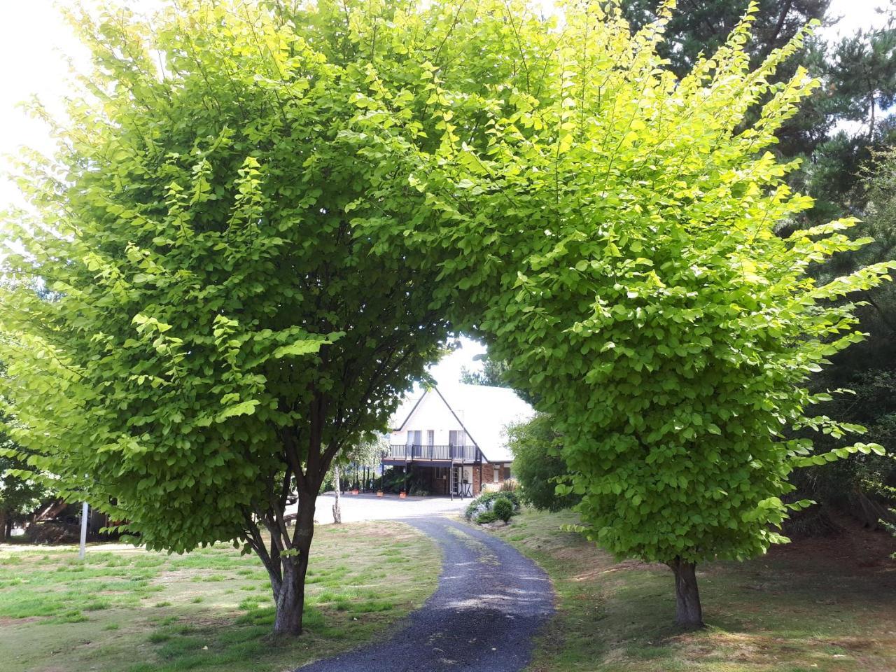Robin'S Nest B&B Wilmot Buitenkant foto